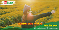 Du lịch Sapa Điện Biên Mộc Châu Mai Châu 4N3Đ