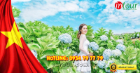 Du lịch Đà Lạt 2N1Đ Lễ 30/4 - 1/5/2022