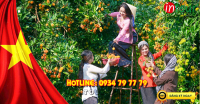 Du lịch miền Tây Mỹ Tho - Cần Thơ 2N1Đ Lễ 30/4 - 1/5/2022