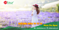 Du lịch Châu Đốc - Nha Trang - Đà Lạt 4N4Đ