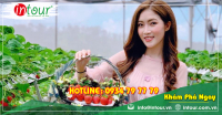 Du lịch Phan Thiết - Đà Lạt khởi hành từ Châu Đốc 4N3Đ